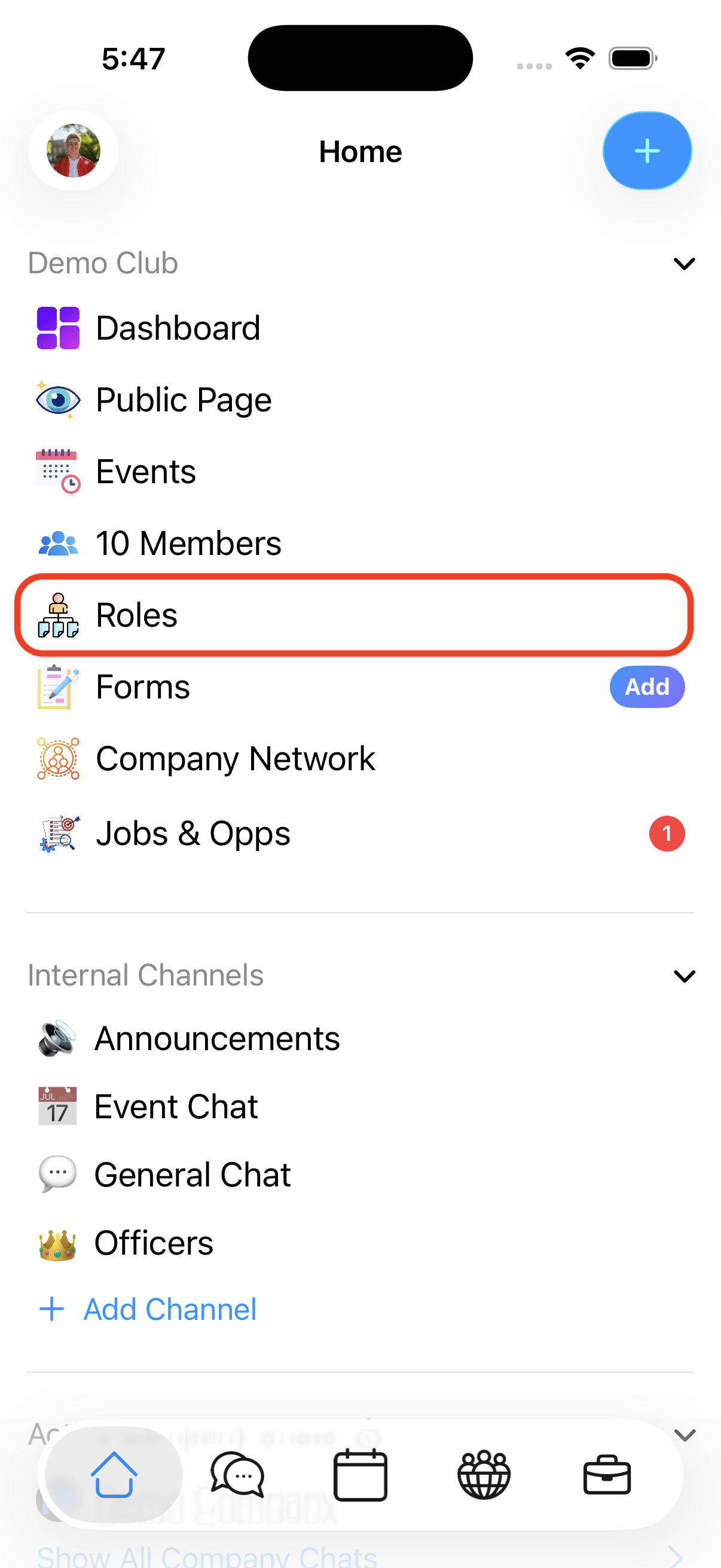 The Roles entry in a club's list on iOS